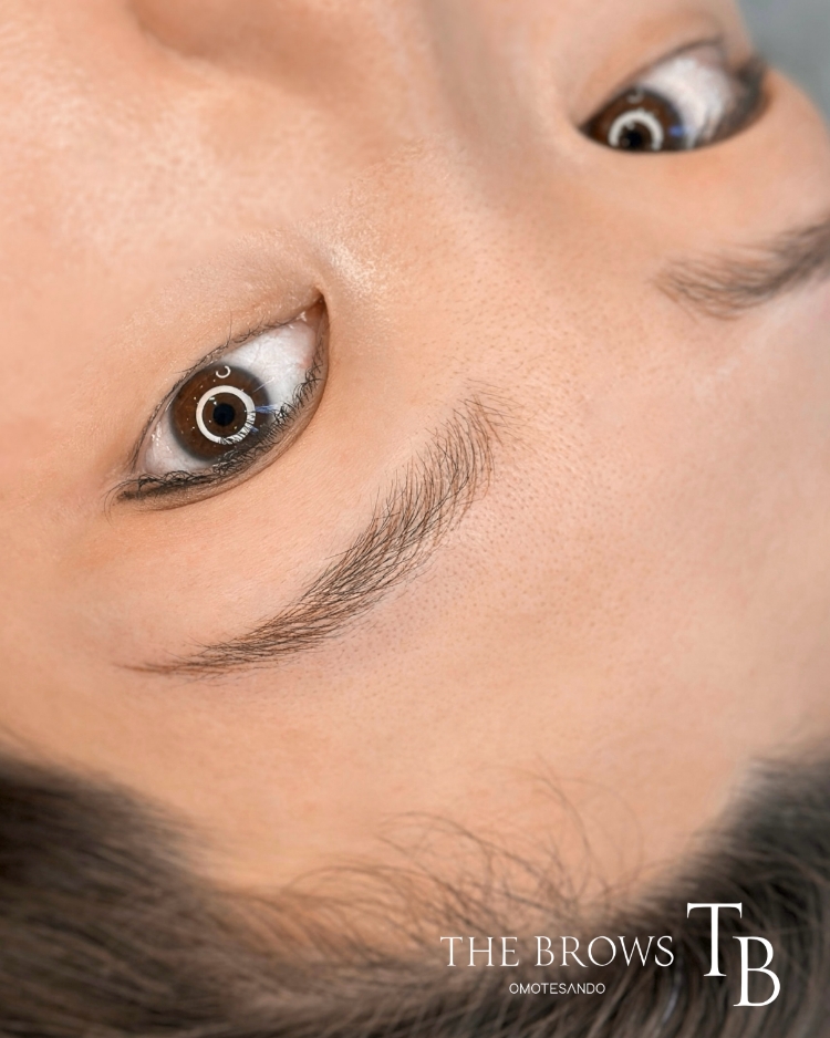 毛並み眉アートメイク EYEBROWS